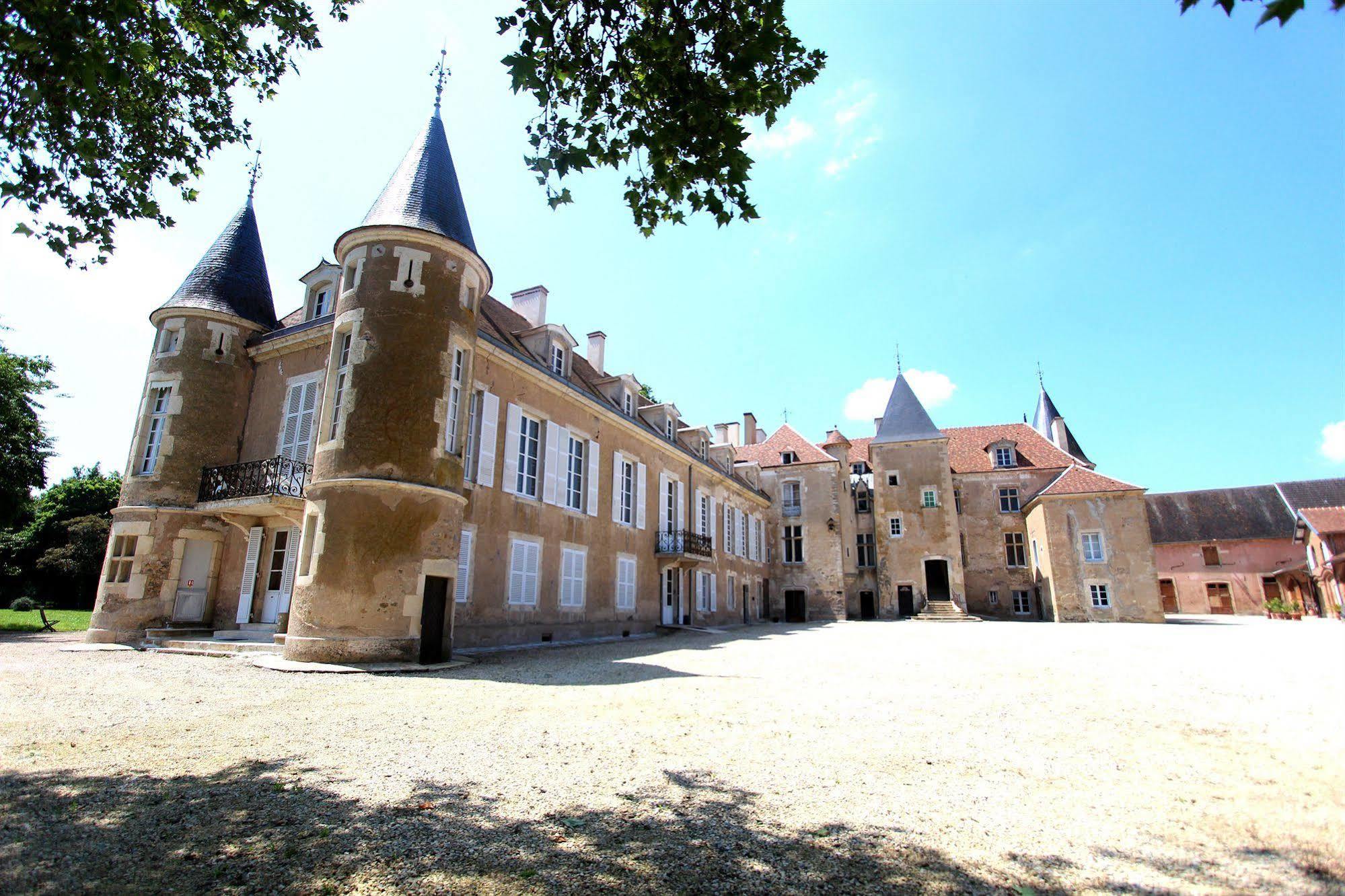Chateau D'Island Vezelay Pontaubert Екстериор снимка
