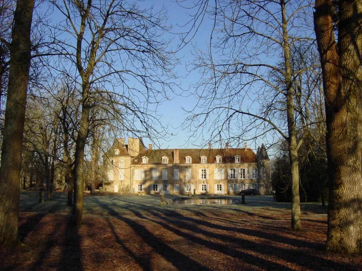 Chateau D'Island Vezelay Pontaubert Екстериор снимка