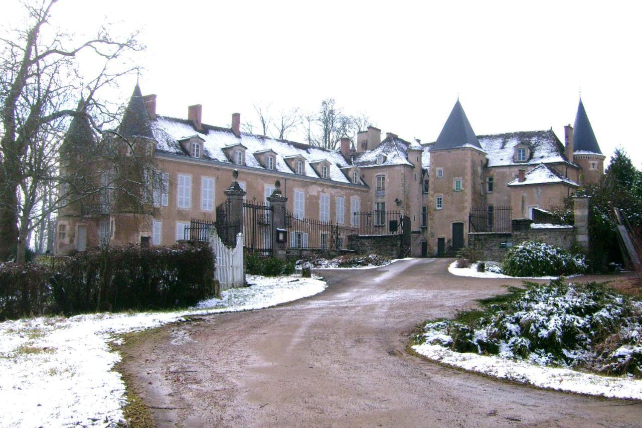 Chateau D'Island Vezelay Pontaubert Екстериор снимка